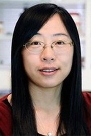Sino Biological