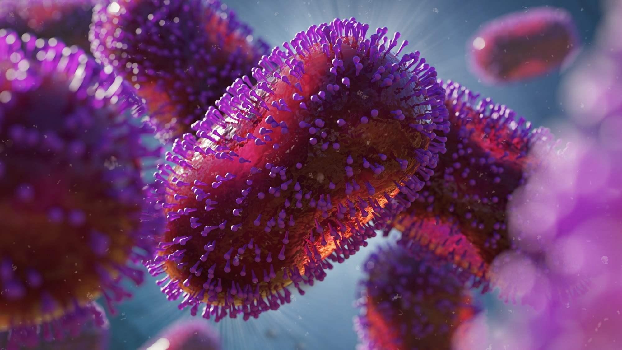 Study: Monkeypox – An emerging pandemic. Image Credit: Dotted Yeti/Shutterstock