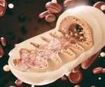 Men exposed to industrial air pollution exhibit sperm mitochondrial DNA deletions