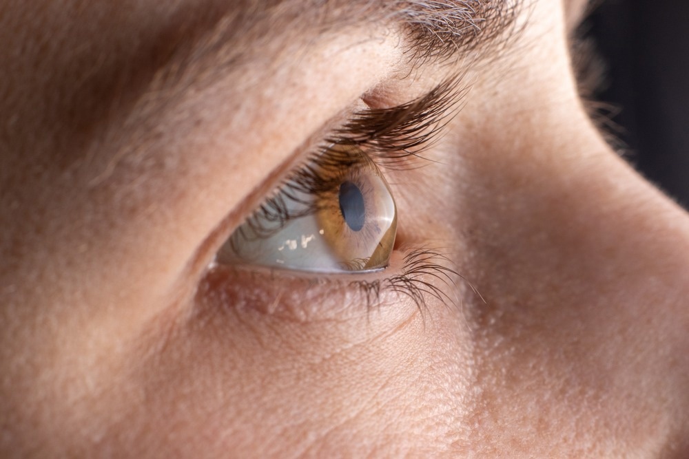 Image Credit: Garna Zarina/Shutterstock.com