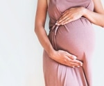 How could SARS-CoV-2 viral infection modulate the immune landscape during the active infection phase and recovery in pregnant females?