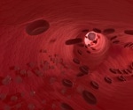 Review explores the involvement of the endothelium as an important underpinning of long COVID’s pathophysiology