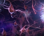 Age-related changes in microbiome composition affects brain macrophages