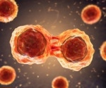 Rational treatment strategies for SARS-CoV-2 derived from human pluripotent stem cells models