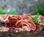 Bioactive compounds derived from Ganoderma lucidum exhibit anti-SARS-CoV-2 activity