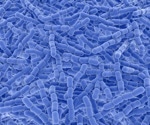 The prevalence of pneumococcal carriage in Serbia during COVID