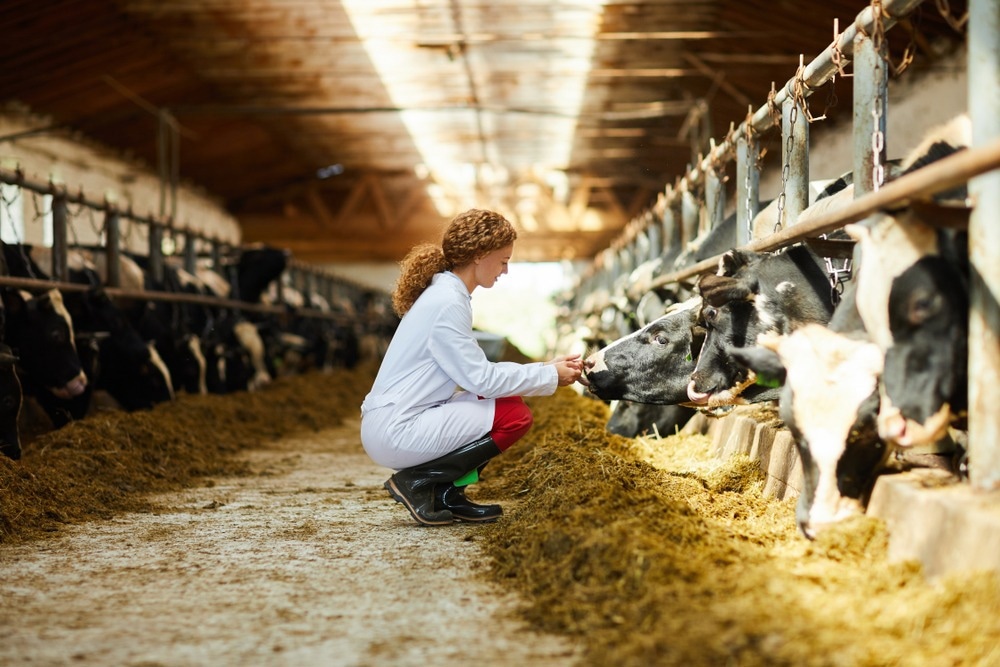 Animal Health