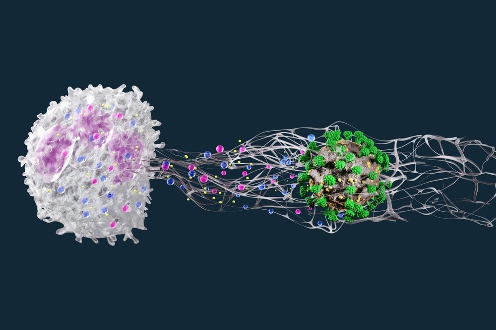 Study: Neutrophil extracellular traps in systemic autoimmune and autoinflammatory diseases. Image Credit: Luca9257 / Shutterstock.com