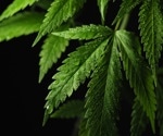 Dangers of recreational/medical cannabis use
