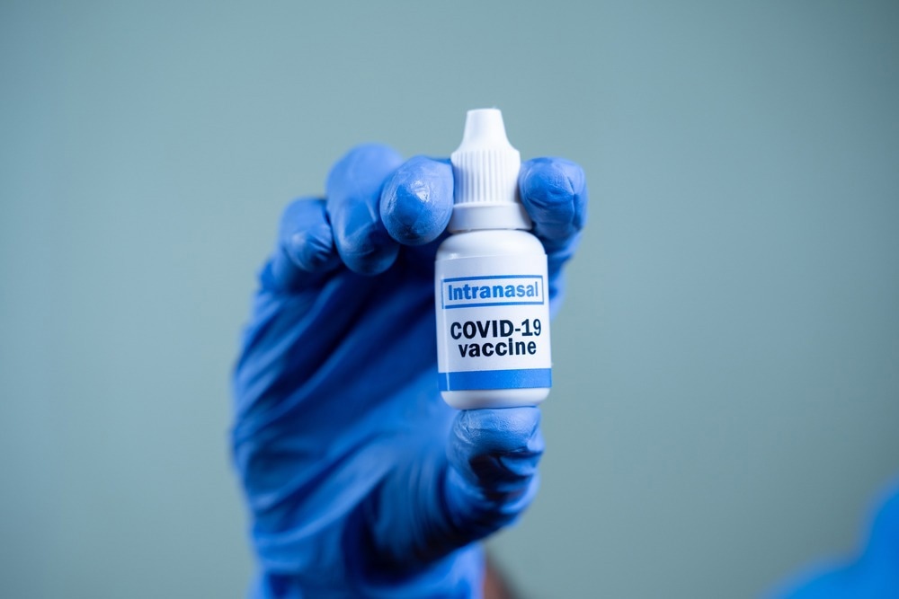 Study: Intranasal virus-particle mimicking vaccine enhances SARS-CoV-2 clearance in the Syrian hamster model. Image Credit: WESTOCK PRODUCTIONS/Shutterstock