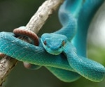 Harnessing the natural potential of venom for drug discovery