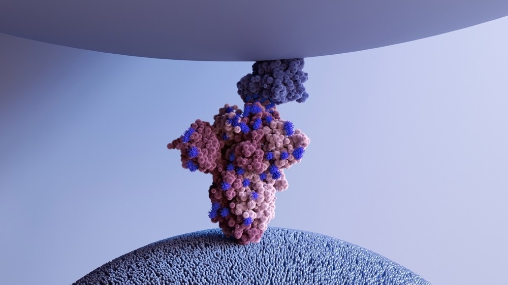 Study: Vimentin is an important ACE2 co-receptor for SARS-COV-2 in epithelial cells. Image Credit: Design_Cells / Shutterstock.com