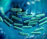 Fermented dairy products can improve gut mucosal immunity