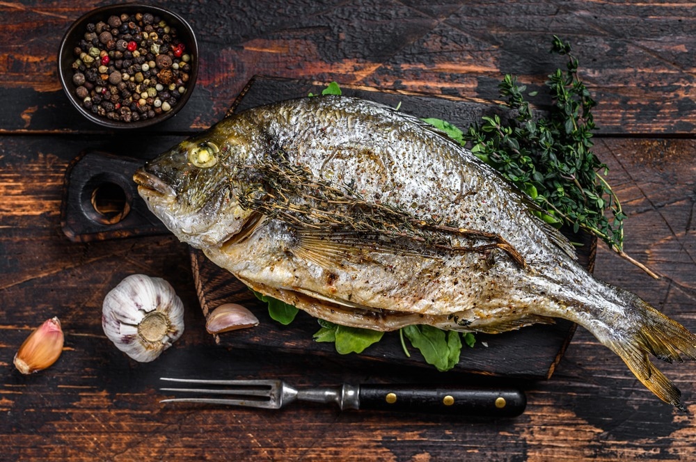 Study: Marine Sources of DHA-Rich Phospholipids with Anti-Alzheimer Effect. Image Credit: Mironov Vladimir / Shutterstock.com