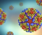 Study shows sylvatic origin of chikungunya virus transmission among nonhuman primates of Myanmar