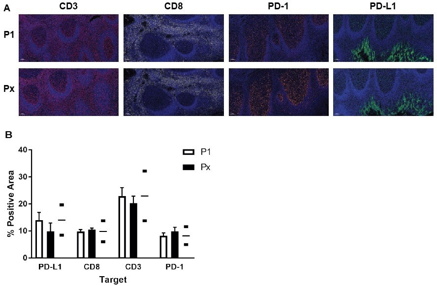 Achieving immune cell checkpoint profiling