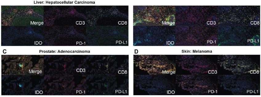 Achieving immune cell checkpoint profiling