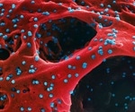 Small CDC study looks at SARS-CoV-2 viral shedding in vaccinated and unvaccinated