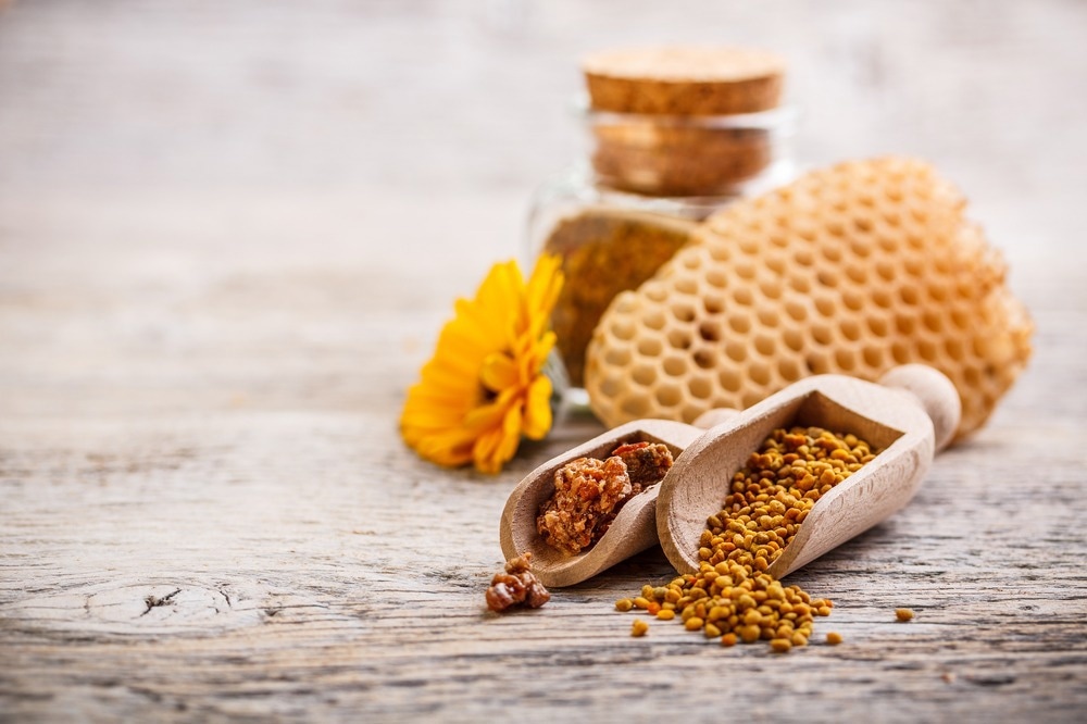Study: Antioxidant, anti-inflammatory and anti-acne activities of stingless bee (Tetragonula biroi) propolis. Image Credit: grafvision / Shutterstock.com