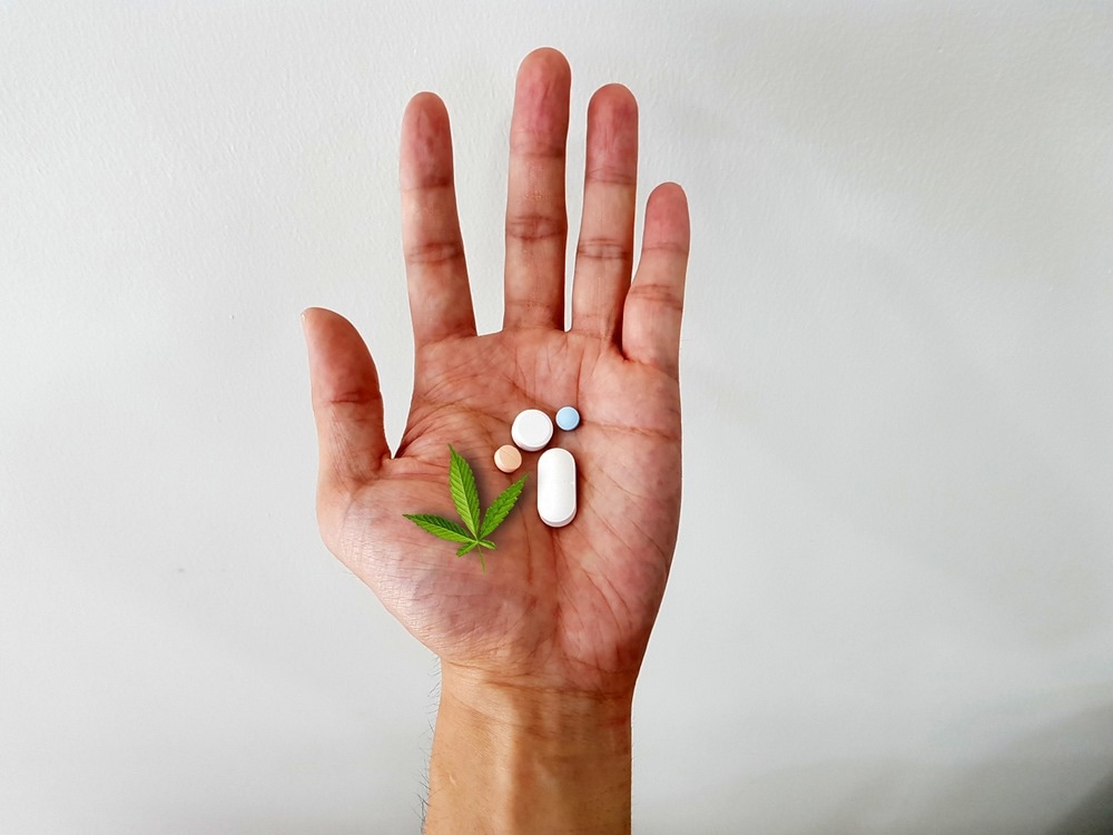 Study: Cannabidiol reveals a disruptive strategy for 21st century epilepsy drug discovery. Image Credit: joel bubble ben / Shutterstock.com