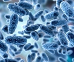 Vaccination against pertussis in pregnancy and outstanding scientific questions