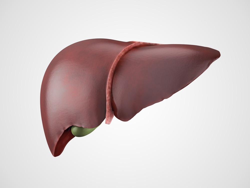 Study: Hepatitis B virus haplotype number at baseline is a predictive marker of functional cure during antiviral therapy for patients with genotypes A and D hbeag ‐positive chronic hepatitis B. Image Credit: eranicle / Shutterstock.com