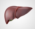 Hepatitis B virus haplotype number is a predictive marker of functional cure during antiviral therapies