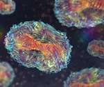 Enveloped viruses show greater cross-species transmission, according to new research