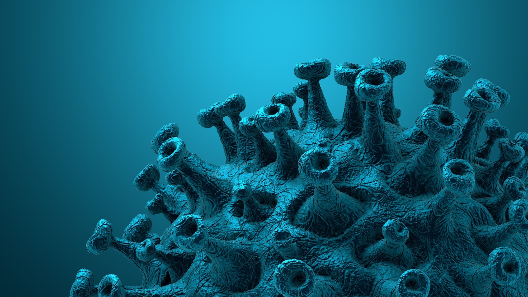 Study: Cholesterol and ceramide facilitate SARS-CoV-2 Spike protein-mediated membrane fusion. Image Credit: CROCOTHERY/Shutterstock.