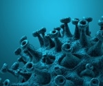 What is the impact of cholesterol on SARS-CoV-2 Spike protein-mediated membrane fusion?
