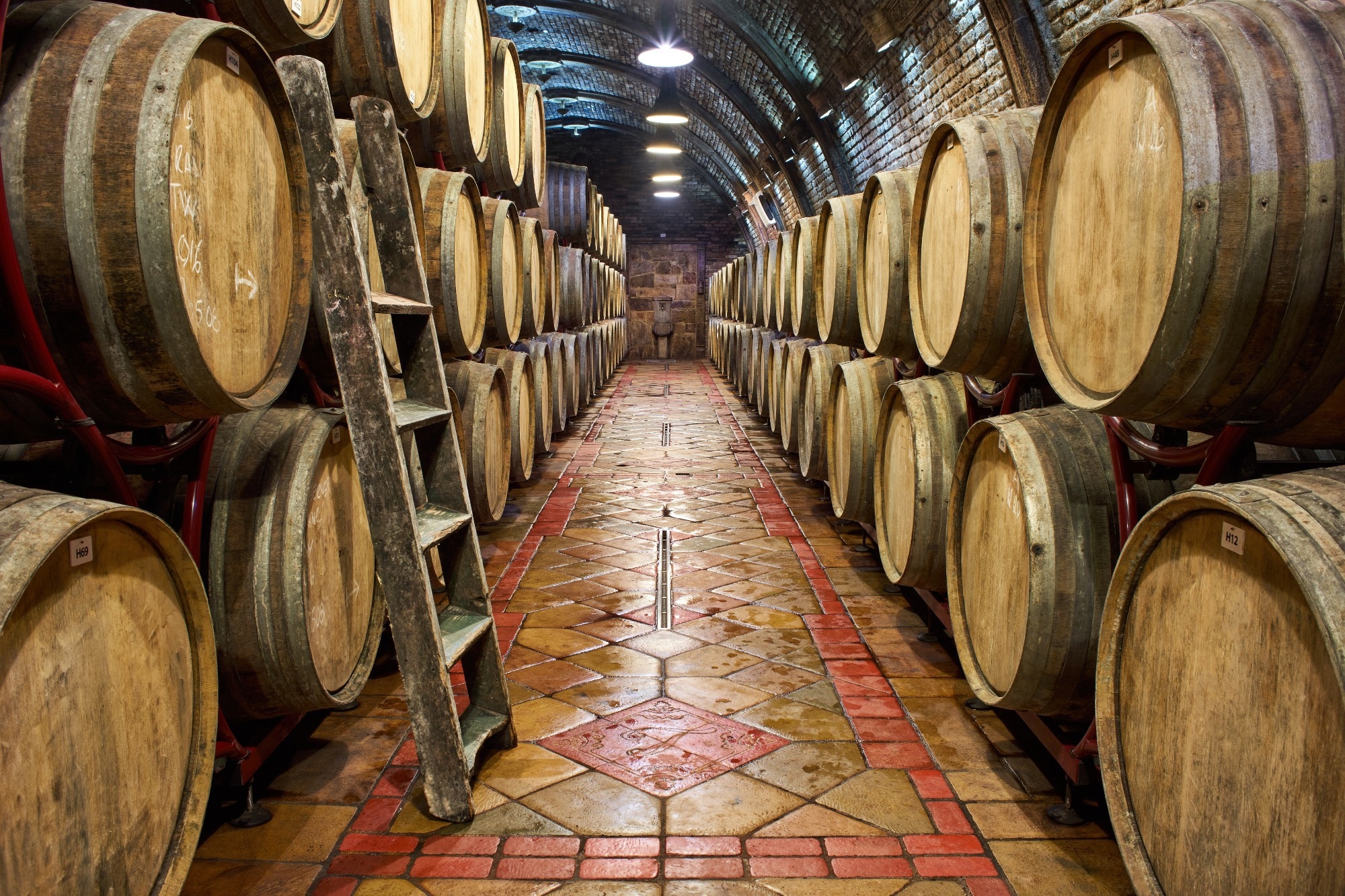 Study: The Impact of Compounds Extracted from Wood on the Quality of Alcoholic Beverages. Image Credit: Gelner Tivadar Shutterstock