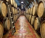 Analysis of how wood compounds affect the quality of alcoholic beverages