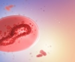 Exploring a novel amplicon-based mpox virus sequencing strategy