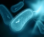 The efficacy of clarithromycin versus levofoxacin-based regimens for H.pylori treatment in naïve patients after the COVID-19 pandemic misuse of antibiotics
