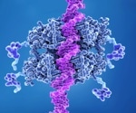 Protein adduction and p53 tumor suppressor inhibition