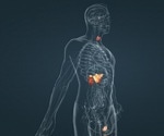 The impact of viral infections on the human endocrine system