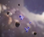 Study shows activation of pulmonary macrophages by SARS-CoV-2 spike glycoprotein