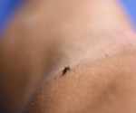 New Zika virus lineages show increased fitness