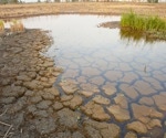 Isolation of Burkholderia thailandensis from the environment