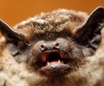 Comparative study on retinoic acid-inducible gene-I of humans and bats