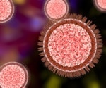 Study indicates that macrophages that reside in the lymph nodes contribute to the initial Zika virus spread
