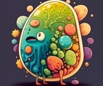 How the human gut microbiota is shaped by diet