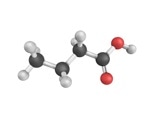 Exploring the immunomodulatory and anti-inflammatory properties of butyrate