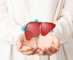 How does chronic HBV infection affect flu and COVID-19 vaccine responses?