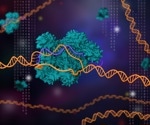 Embryonic stem cells used to recreate thyroid cancer histotypes