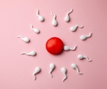 Research evaluates the effects of physical agents on male fertility