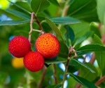 New Mediterranean plant-based smoothies show promising health benefits, study finds