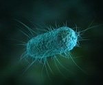 A novel approach for analyzing foodborne zoonotic E. coli