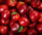 An apple a day keeps the doctor away: polyphenol-enriched apples alter immune cell gene expression and fecal microbiota composition