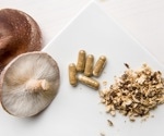 Edible mushrooms: the role of antioxidant compounds as potential candidates for neurodegenerative disease prevention and treatment